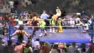 The Steiner Brothers vs The Master Blasters [upl. by Nissie]