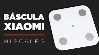 La BÁSCULA ⚖️ de XIAOMI  Mi Scale 2 Review [upl. by Marika419]