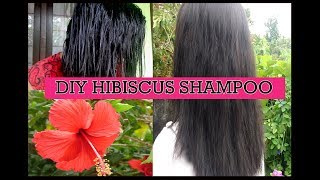 Hibiscus shampoo DIY shampoo Herbal home made shampoo [upl. by Hgiel]