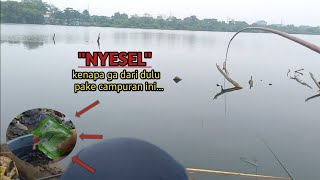 KENAPA TIDAK DARI DULU TERNYATA LUMUT CAMPUR INI IKANNYA REBUTAN🔥🔥 [upl. by Aemat532]