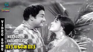 Neerodum Vaikaiyile Video Song  Paar Magaley Paar  Sivaji Ganesan Sowcar Janaki  Music Studio [upl. by Orella]