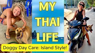 Doggy Diary Meet My Favourite Male Deefer KOH TAO Ep36 Thailand [upl. by Amend408]