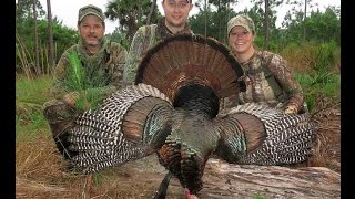 Osceola Turkey Hunt Tristan Pendergrass Bull Creek Outfitters [upl. by Anail]