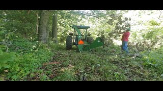 Dewalt polesaw limb chipping with Wallenstein bx62 Chipper [upl. by Emilie]