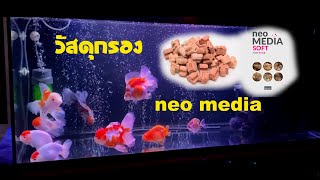 ด้าจ๋า Pets  Neo Media วัสดุรูพรุนสำหรับตู้เลี้ยงปลา ดีจริงไหม ขอลองกับตู้ปลาทองสะหน่อย [upl. by Moffitt787]