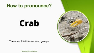 How to pronounce Crab in English Correctly [upl. by Esertak]