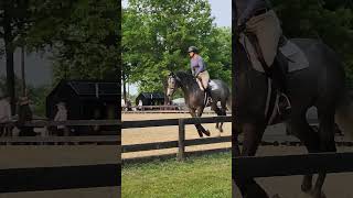 The Colt and Horse Show in Upperville VA short [upl. by Sungam]