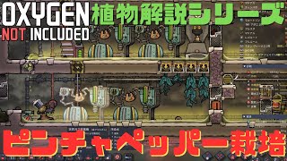 【Oxygen not included】植物解説シリーズ ピンチャペッパー栽培 [upl. by Ain]