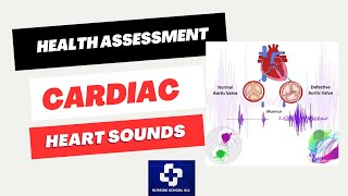 Cardiac Assessment Heart Sounds and Murmurs [upl. by Yarehs662]