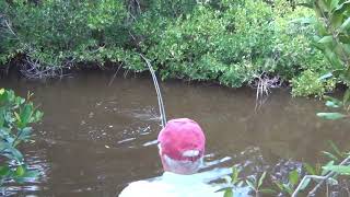 Fishing the Chartreuse Dahlberg Diver Fly [upl. by Castorina]