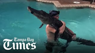 Gator Boys star rescues gator from South Florida pool [upl. by Laikeze]