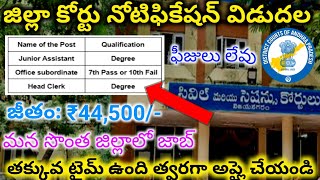 District Court Jobs Notification 2024  District court jobs 2024  AP Court Jobs notification [upl. by Rennat]