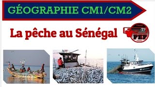 Géographie  Cm1 Cm2  Une activité économique  La pêche [upl. by Farland580]