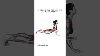 4 Exercises to Fix Your Spine for Good [upl. by Aehtorod]