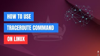 How to Use the traceroute Command on Linux [upl. by Eladnwahs]