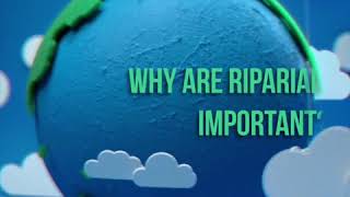 Why Riparian Areas are Important [upl. by Hanas]