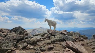 Mount Bierstadt 14065 [upl. by Anzovin]