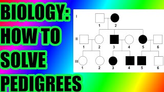 Biology How To Solve Pedigree Charts amp Questions [upl. by Staci158]