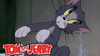 Tom e Jerry  O Gato Medroso Dublagem BKS Especial de Halloween 🙀👻 [upl. by Nahtan]