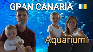 Gran Canarias huge aquarium and Maspalomas beach [upl. by Teuton]