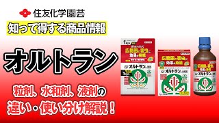 粒剤、水和剤、液剤の違い・使い分け解説！～知って得する商品情報（オルトラン）～ガーデンドクターTV84 [upl. by Yelah]