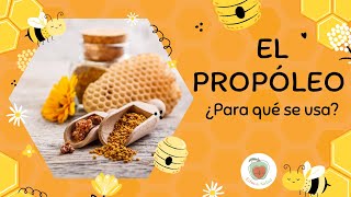 El PROPÓLEO Propiedades y Beneficios [upl. by Siuqaj265]