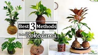 Best 3 Methods to Make Kokedama at Home  How to Make Moss Ball for Indoor PlantsGREEN PLANTS [upl. by Becca384]