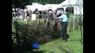 Hedge Making  Brecon style 2012 Royal Welsh Show [upl. by Llenra122]