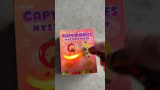 Capybara unboxing bloxfruits bloxfruit fortnite roblox robloxshorts robloxedit minecraft [upl. by Concepcion]