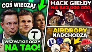 BOOM NA AI PRZED NAMI BITCOIN NABIERA ROZPĘDU Wielki Plan BlackRocka i MicroStrategy Hayes TAO [upl. by Michigan]