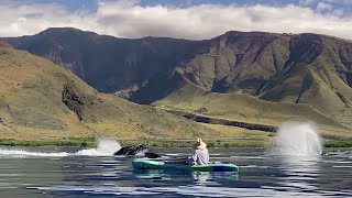 Maui kayak whale watch [upl. by Ahsenra706]