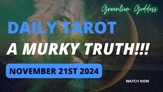 DAILY TAROT quotA MURKY TRUTHquot NOVEMBER 21st 2024 [upl. by Reltuc]