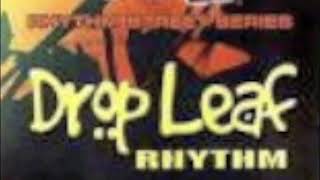 Drop Leaf Riddim Mix  Don Corleon Label [upl. by Goggin519]