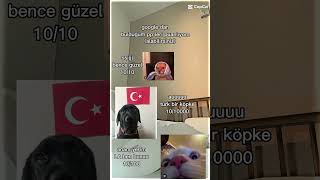 Google yazdığımgrup pp saverobloxkadinasiddetehayir çocugasiddethayir [upl. by Morrill]