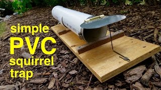 How to Make ● a Humane PVC SQUIRREL TRAP that works [upl. by Ainesey]