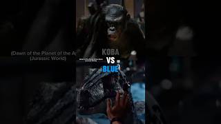 Koba vs Blue [upl. by Kaliski]