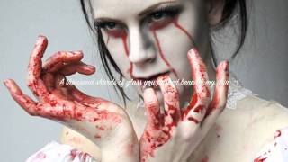 Apocalyptica ft Lacey Sturm Broken Pieces lyrics [upl. by Claudine]