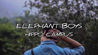 Elephant Boys lyrics Hippo Campus [upl. by Yelkrab]