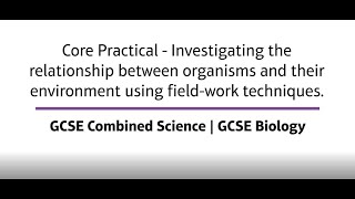 Pearson Edexcel 91 GCSE Combined Science GCSE Biology  field work techniques [upl. by Anauqal77]