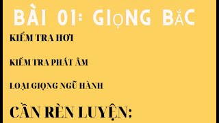 CÁCH LUYỆN GIỌNG CHUẨN MIỀN BẮC  TEST NHANH ĐỂ BIẾT CHỈNH GIỌNG NÓI CHO ĐÚNG P2 [upl. by Coppock]