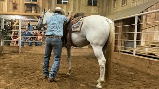 Elkhart Horse Auctions aug 19 2023 [upl. by Haddad]