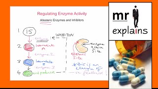 mr i explains Regulating Enzyme Activity via Inhibitors  Allosteric Enzymes [upl. by Suolekcin]