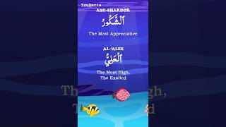 99 Names of Allah Kids Islamic Cartoon Unlocking the Divine Short amp Powerful [upl. by Marlo]