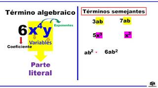 Términos semejantes I 3ero de primaria [upl. by Anigar]