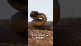 Inland Taipan  The Most Venomous Snake on Earth [upl. by Waldman]