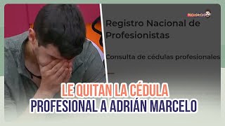 Le quitan la cédula profesional a Adrián Marcelo  MICHISMECITO [upl. by Niels]