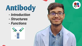 Antibody  Immunoglobulin  IgG IgM IgA  Microbiology bangla lecture [upl. by Bajaj]