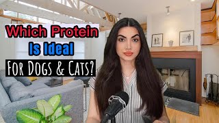 Key Points On Pet Protein [upl. by Hermosa128]