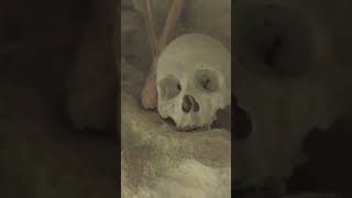 15000YearOld Ephedra Use Uncovered in Moroccan Burial [upl. by Entsirhc489]