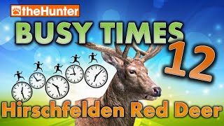 Busy Times 12  Hirschfelden Red Deer  theHunter Classic [upl. by Robers402]